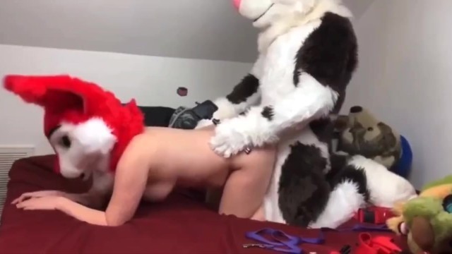 Prends Cette Furry à Gros Sein Comme Une Chienne